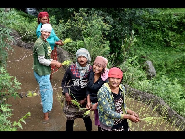 Finance in Common 2021 - message from Forus' Director Sarah Strack | Forus