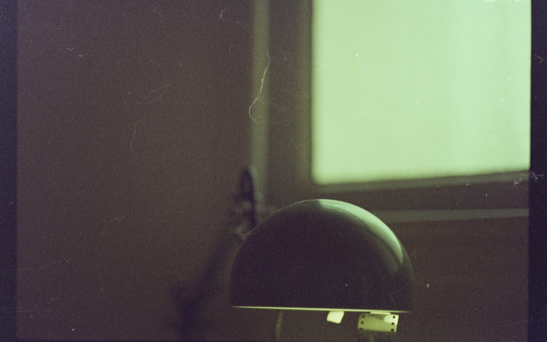 Kodak Vision3 Photography | Ibrahim Handal