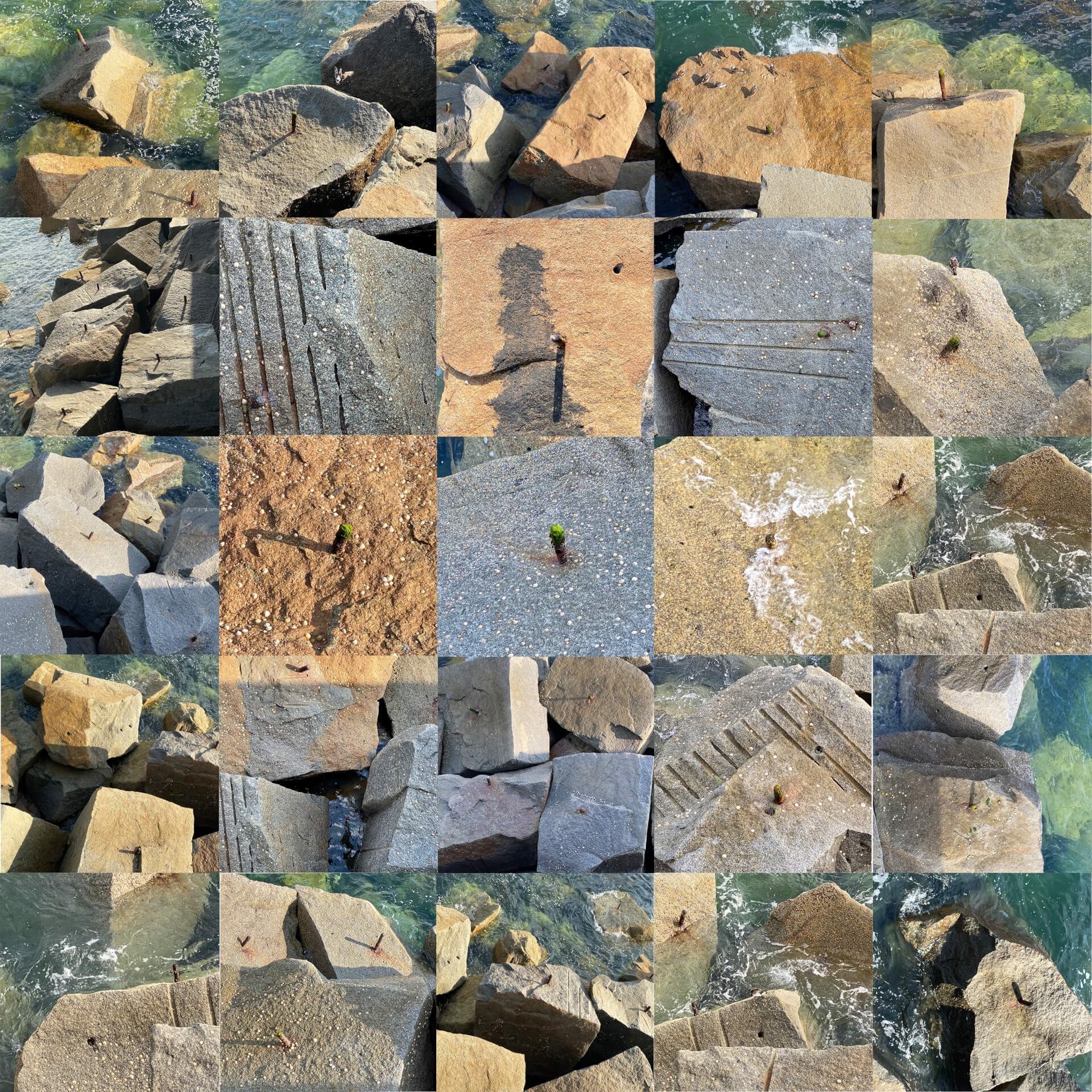 Mixed feelings | Manon Zeidman