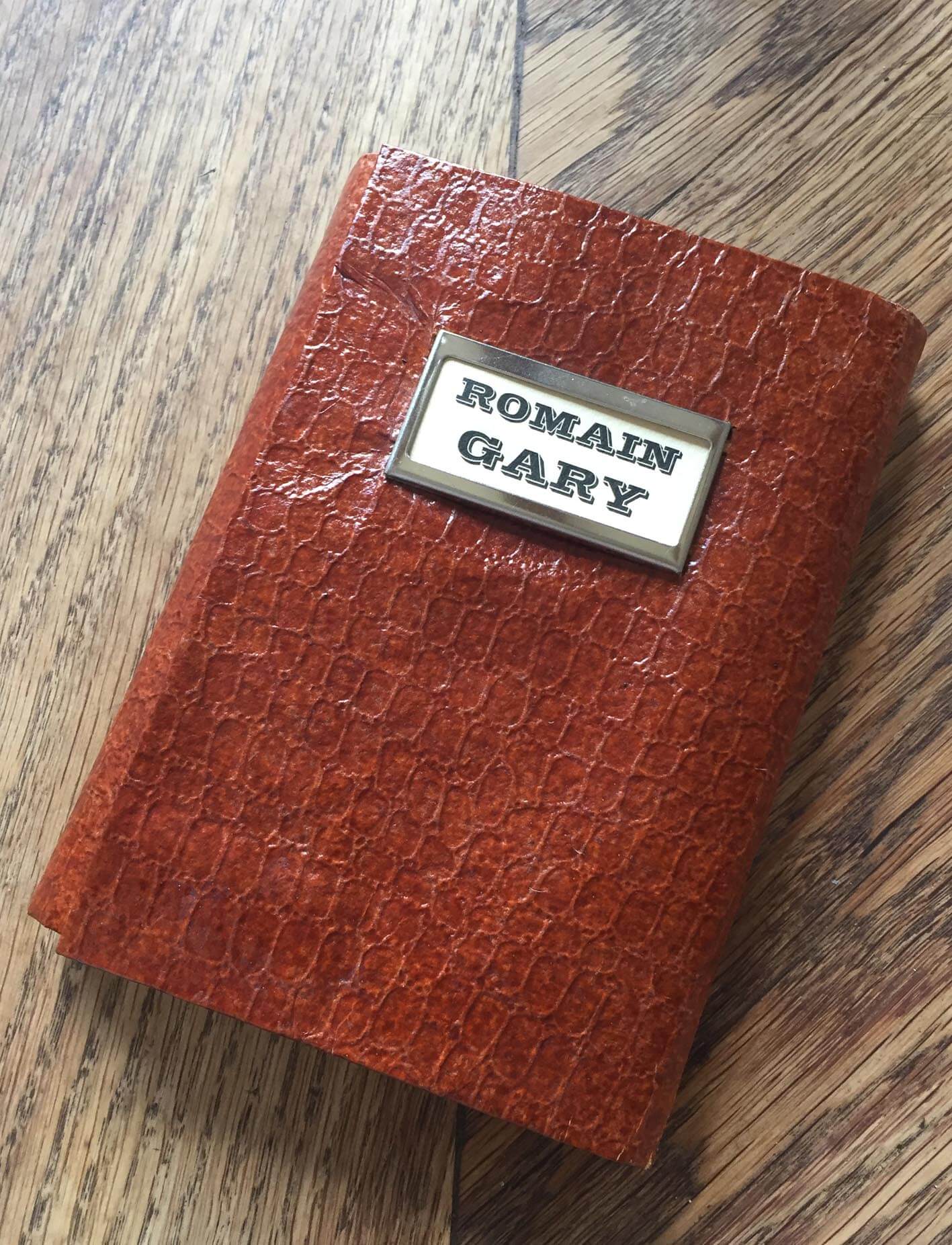 Carnet Romain Gary | Manon Zeidman
