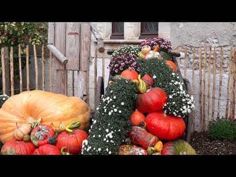 Aubigny sur Nère 2020