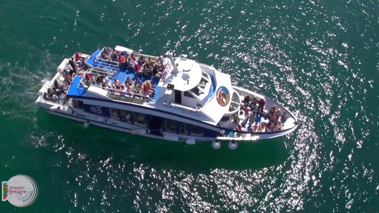 Sensation Bretagne en plein vol : Stage de taichi avec l'Oiseau Bleu