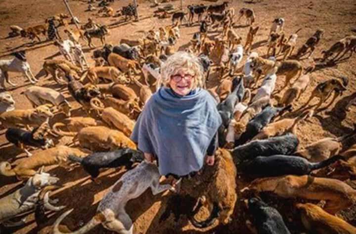 Clebs, film de Halima Ouardiri sur les chiens errants du Maroc à la Berlinale | Babelmed