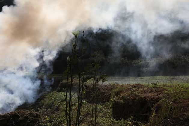 From Climate Change to Covid, Are We Ready to Deal with Disasters? | Forus