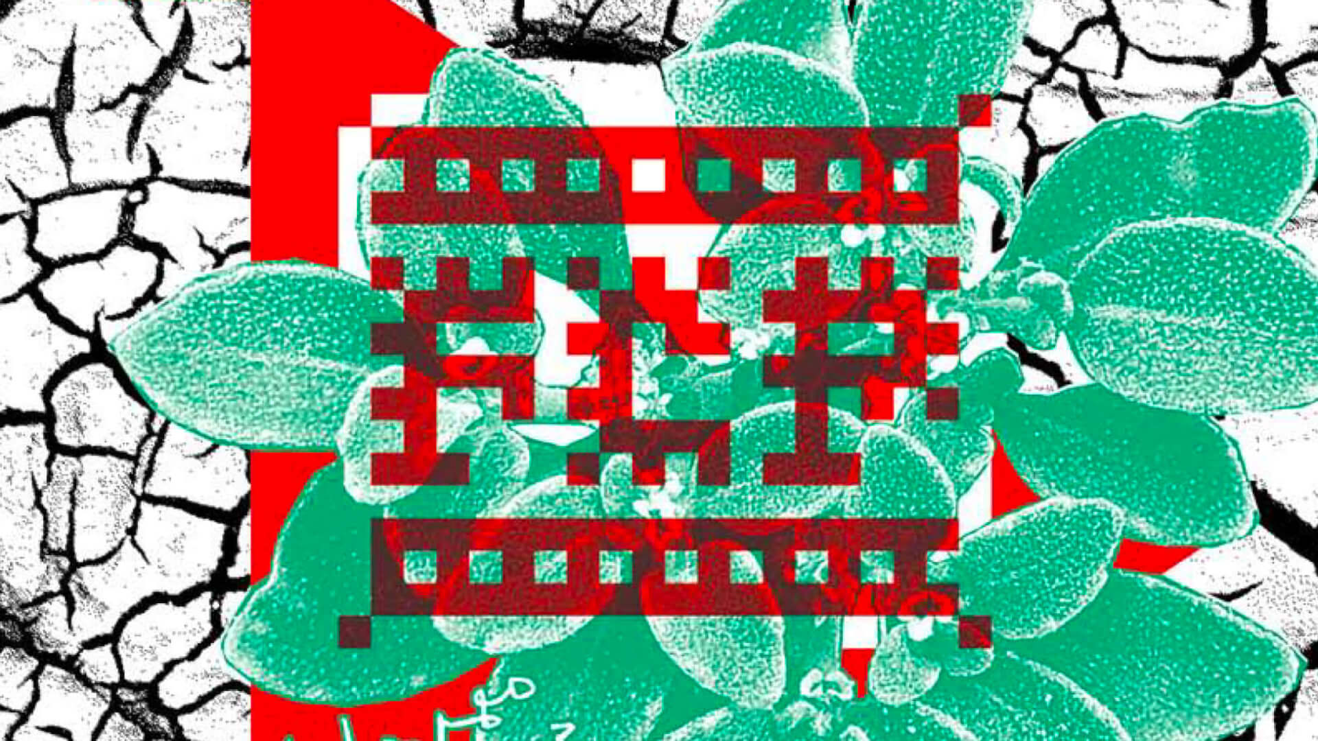 Bilan FCP 2016 | Festival Ciné-Palestine - FCP