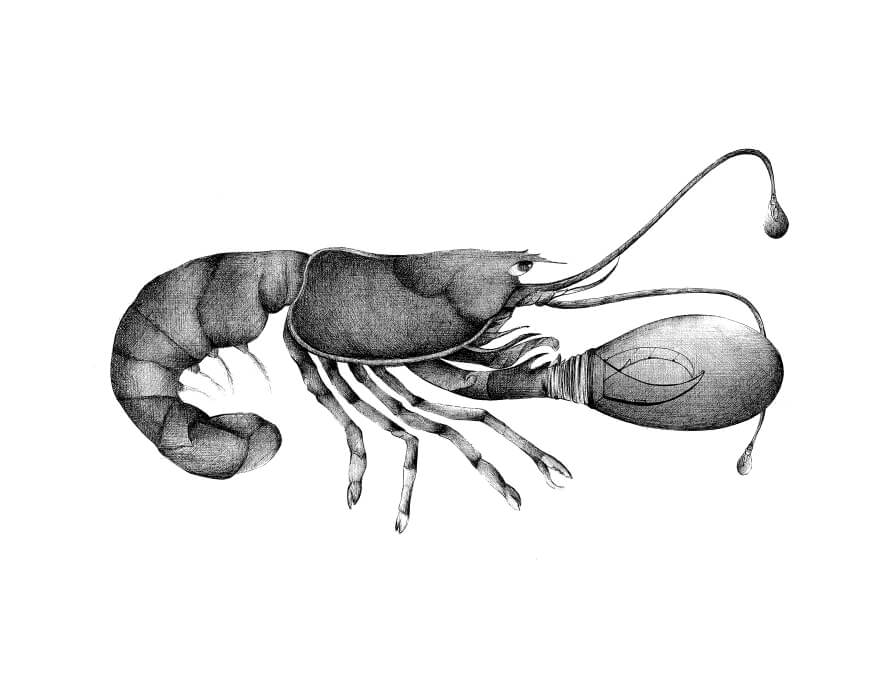 Omar | liguori charlotte