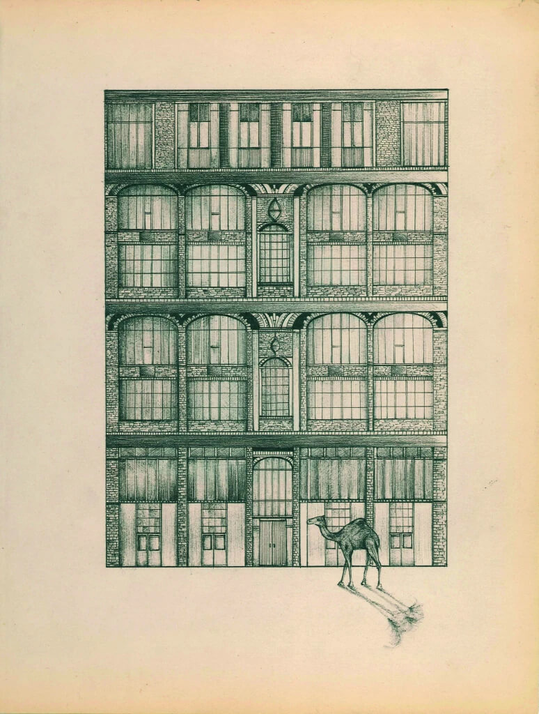 Un dromadaire en ville | liguori charlotte