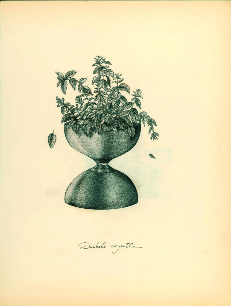 Diabolo Menthe | liguori charlotte