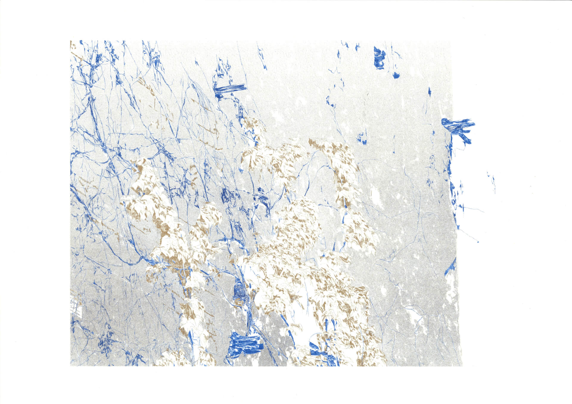 Murcité | Forgeries & En 3000 Éditions