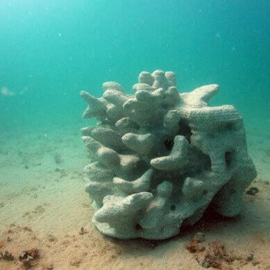 Structures Implantation | Cenote