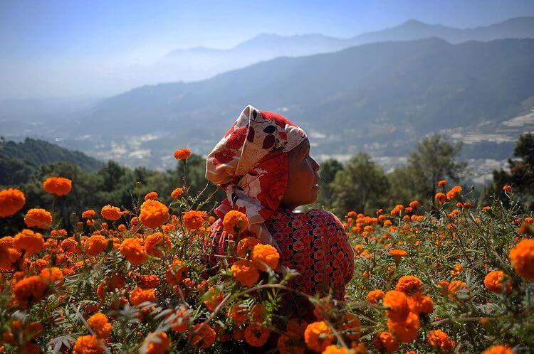 Honduras, Lebanon, Nepal: civil society on the front lines of natural disasters and their daily consequences – Alternatives Humanitaires | Both Nomads