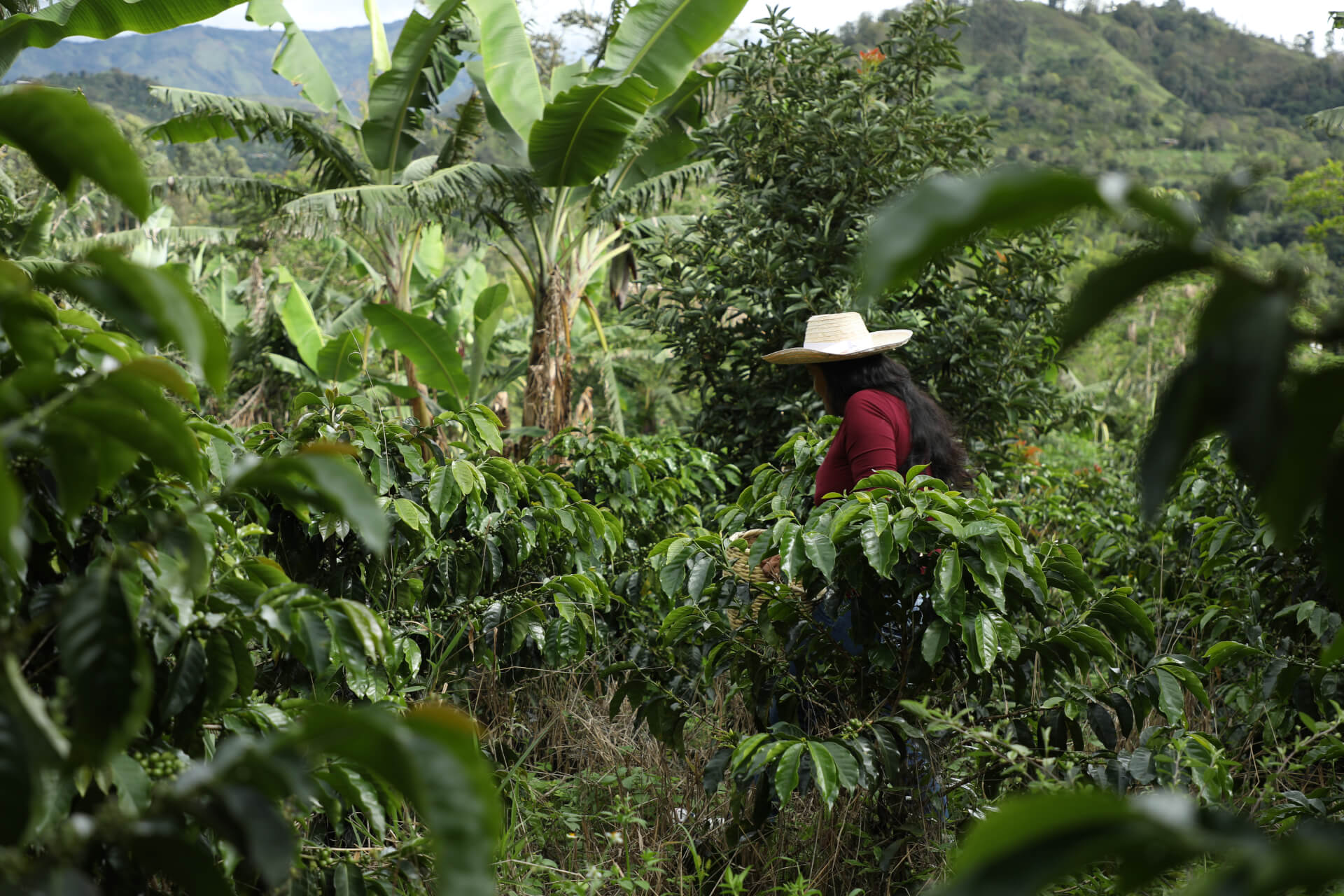 L'agriculture familiale, un modèle à défendre | Both Nomads