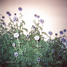SEKUOIA / FLAC  | Star Wax Magazine