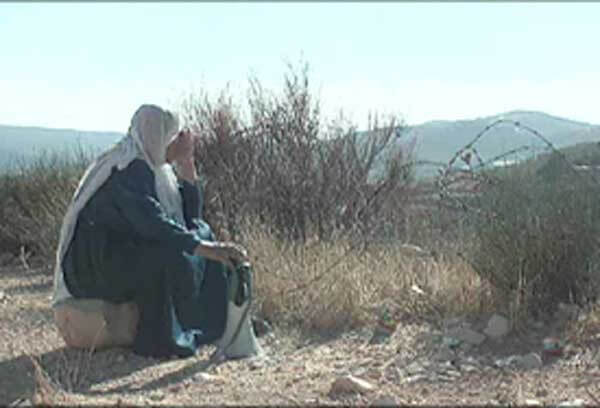 Le Plat de sardines | Festival Ciné-Palestine - FCP