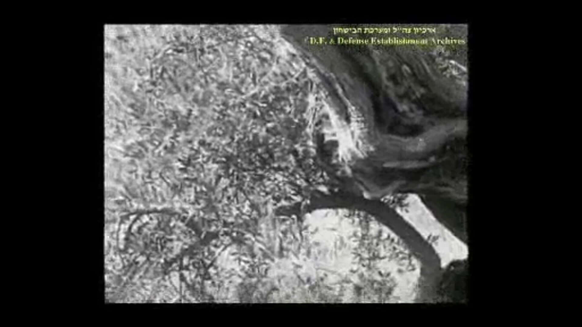 The Urgent Call of Palestine | Festival Ciné-Palestine - FCP