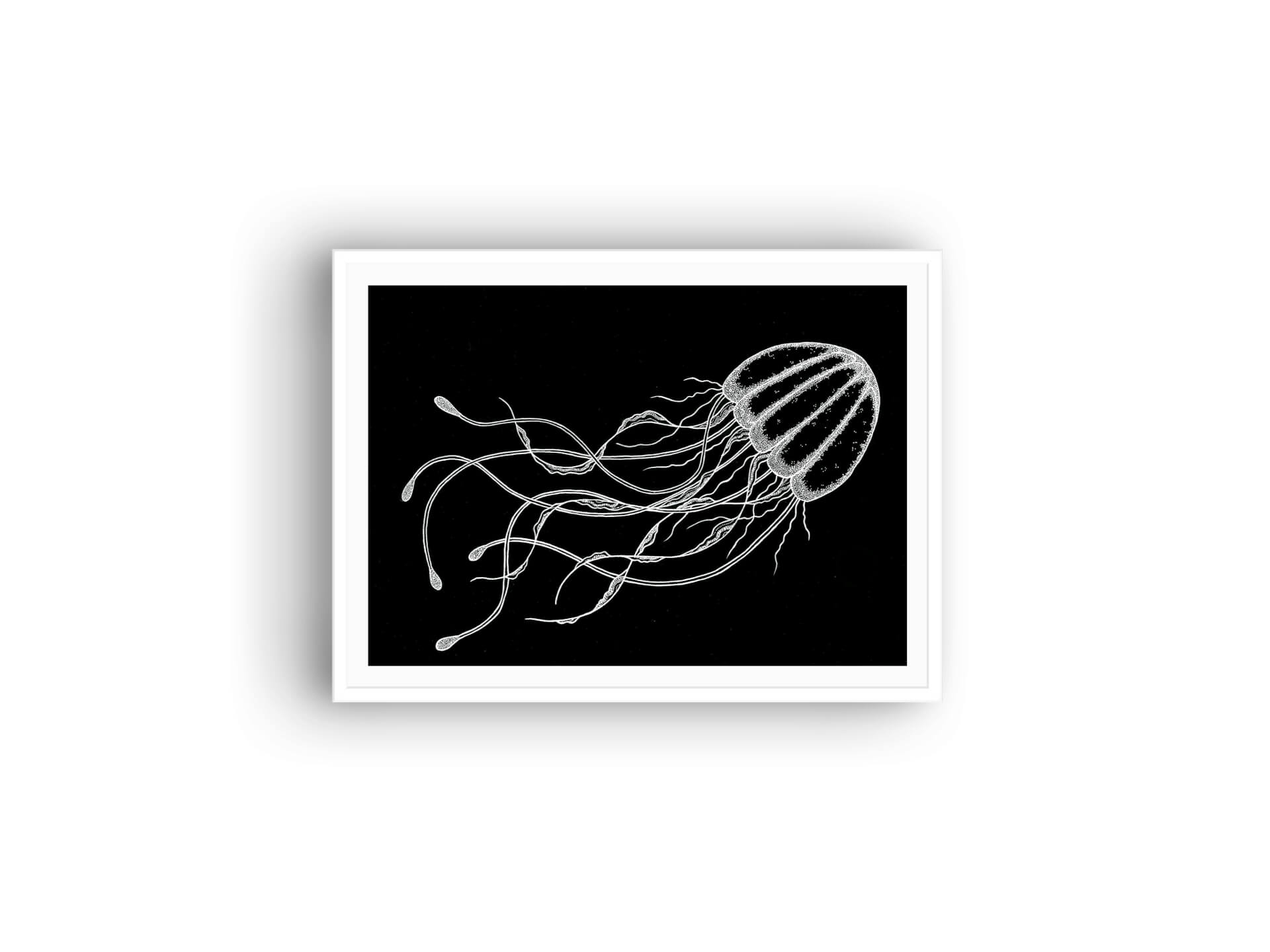 Bioluminescence - Print | Kumo