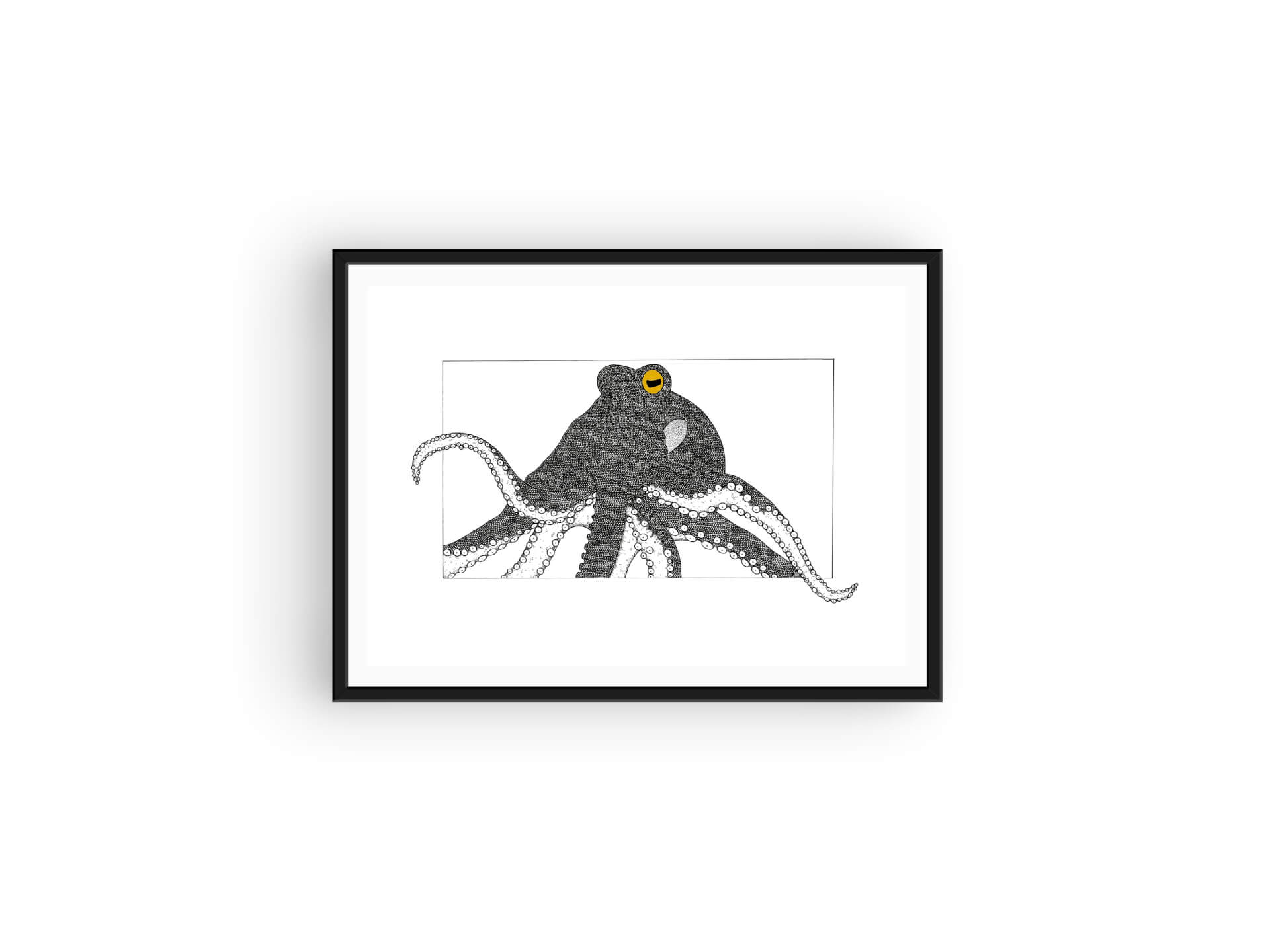 Octopus - Print | Kumo