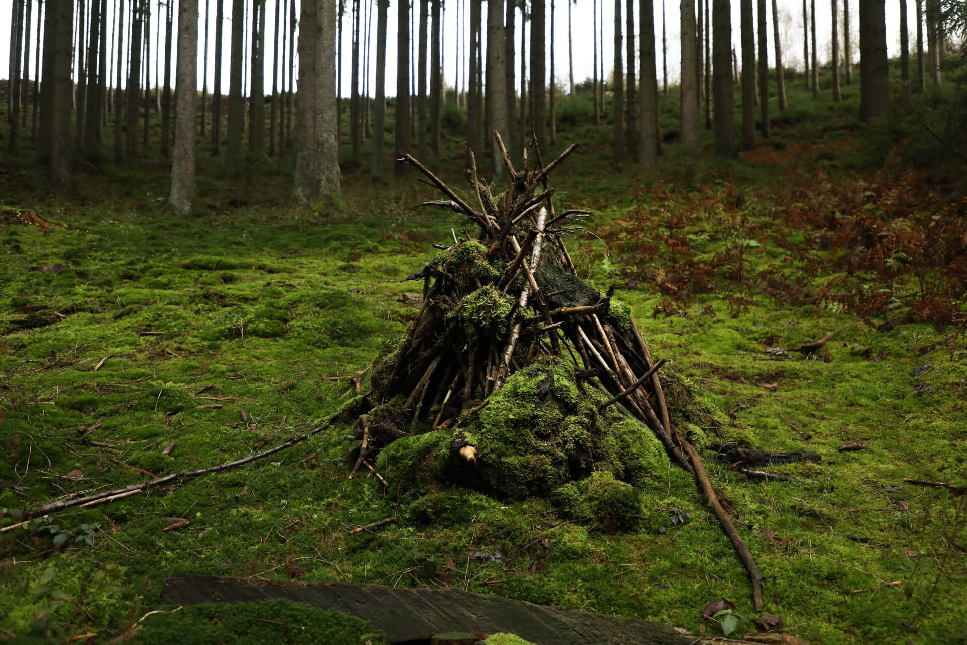 Ardennes | Both Nomads