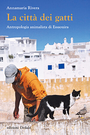 Essaouira, una città, i suoi gatti e la convivenza | Babelmed