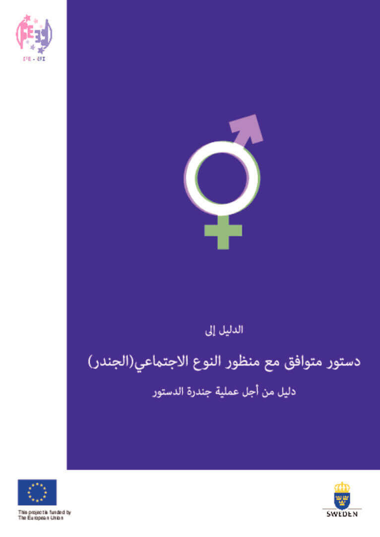 الدليل الى دستور متوافق مع منظور النوع الاجتماعي | EFI - EuroMed Feminist Initiative