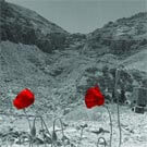 L’architecte et le désert: “To build or not to build?” | Babelmed