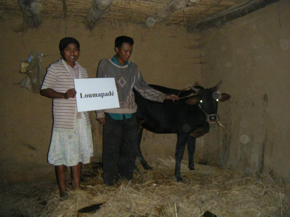 Le Lémurien - Maison de Madagascar