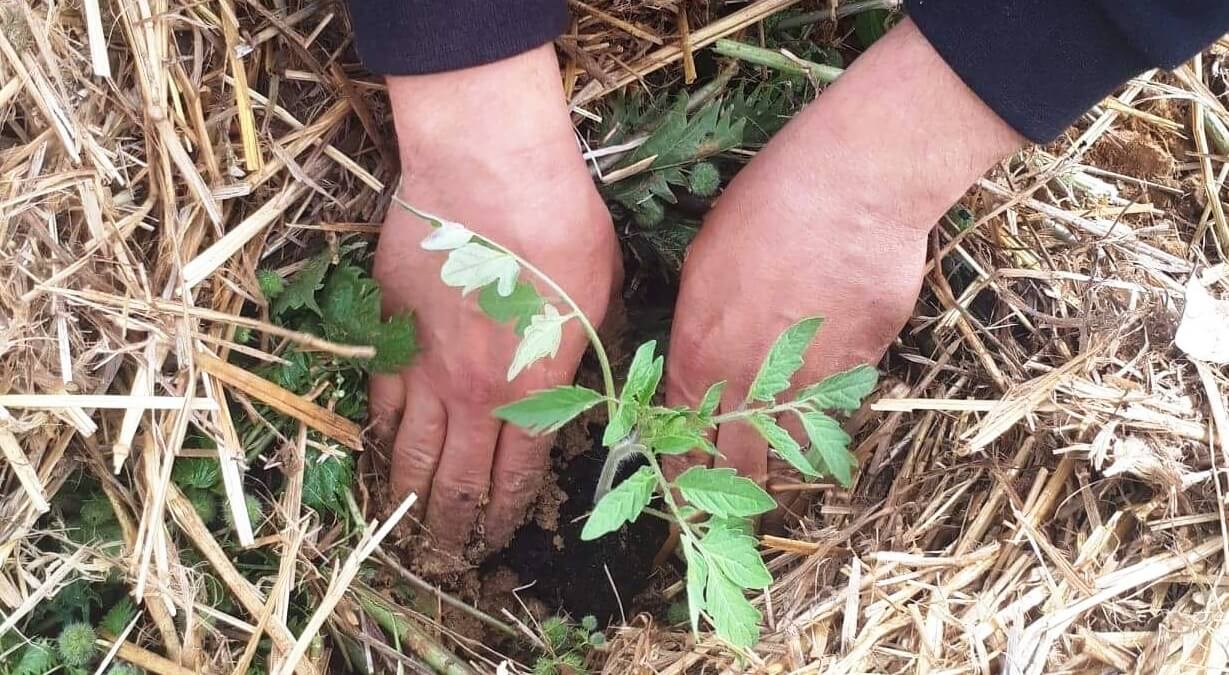 Tunisie : Prendre la terre, deux fois | Babelmed