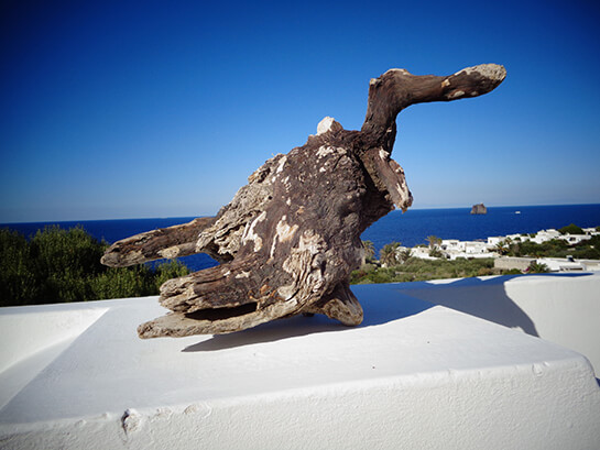 Le vautour de Stromboli ... | Babelmed