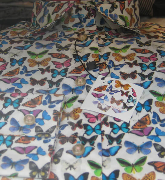 Papillons... | Babelmed