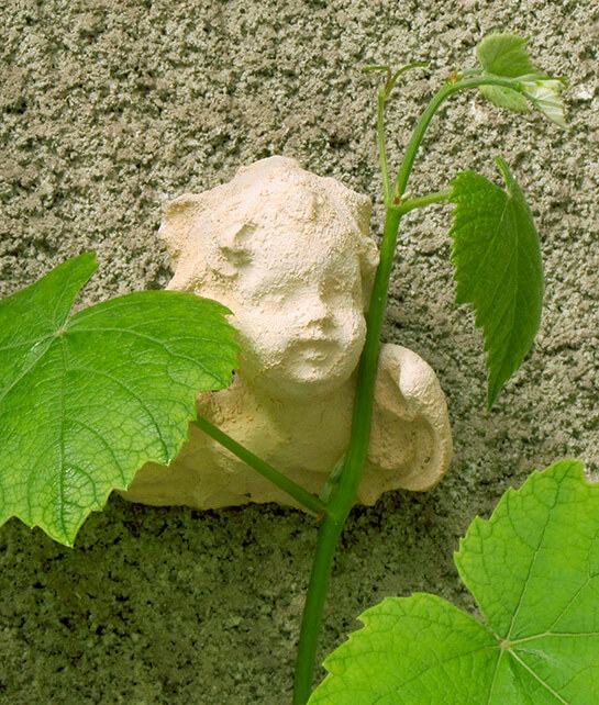 Symbiose II... | Babelmed