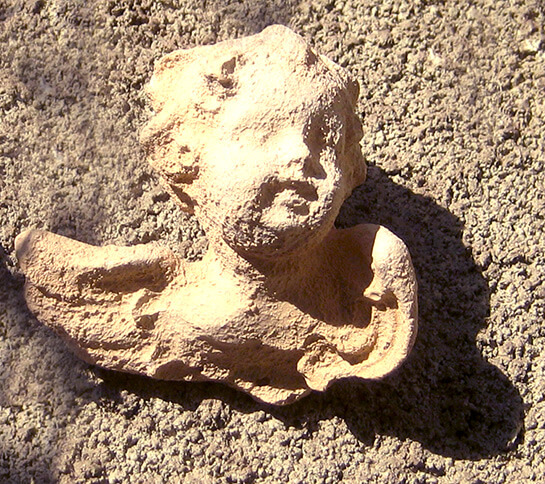 Symbiose... | Babelmed