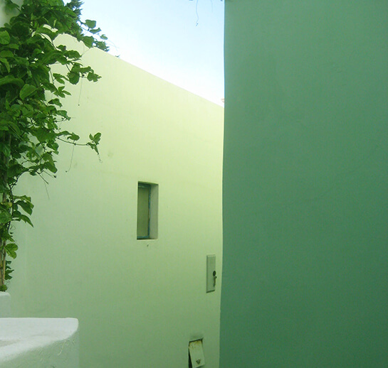 Nuances de vert | Babelmed