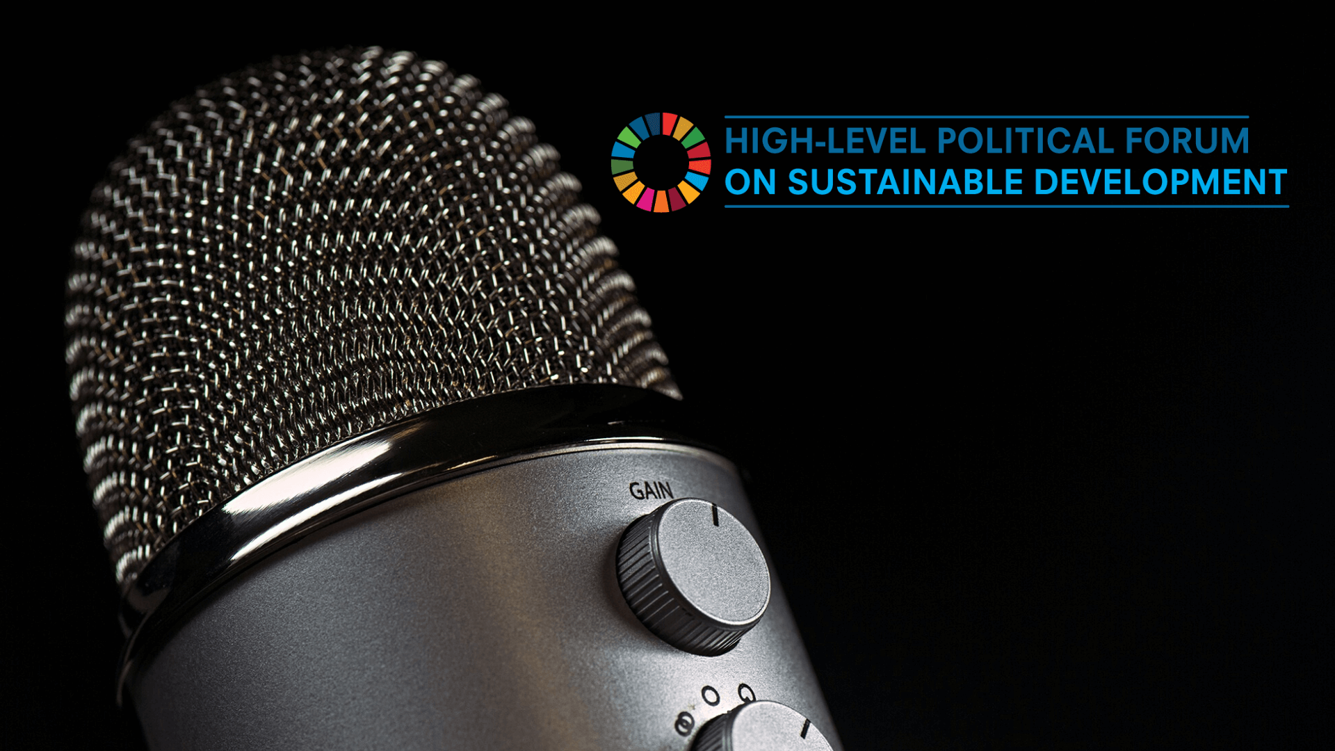 UN HLPF in 2020 “Accelerated action and transformative pathways: realising the decade for action and delivery for sustainable development” | Forus