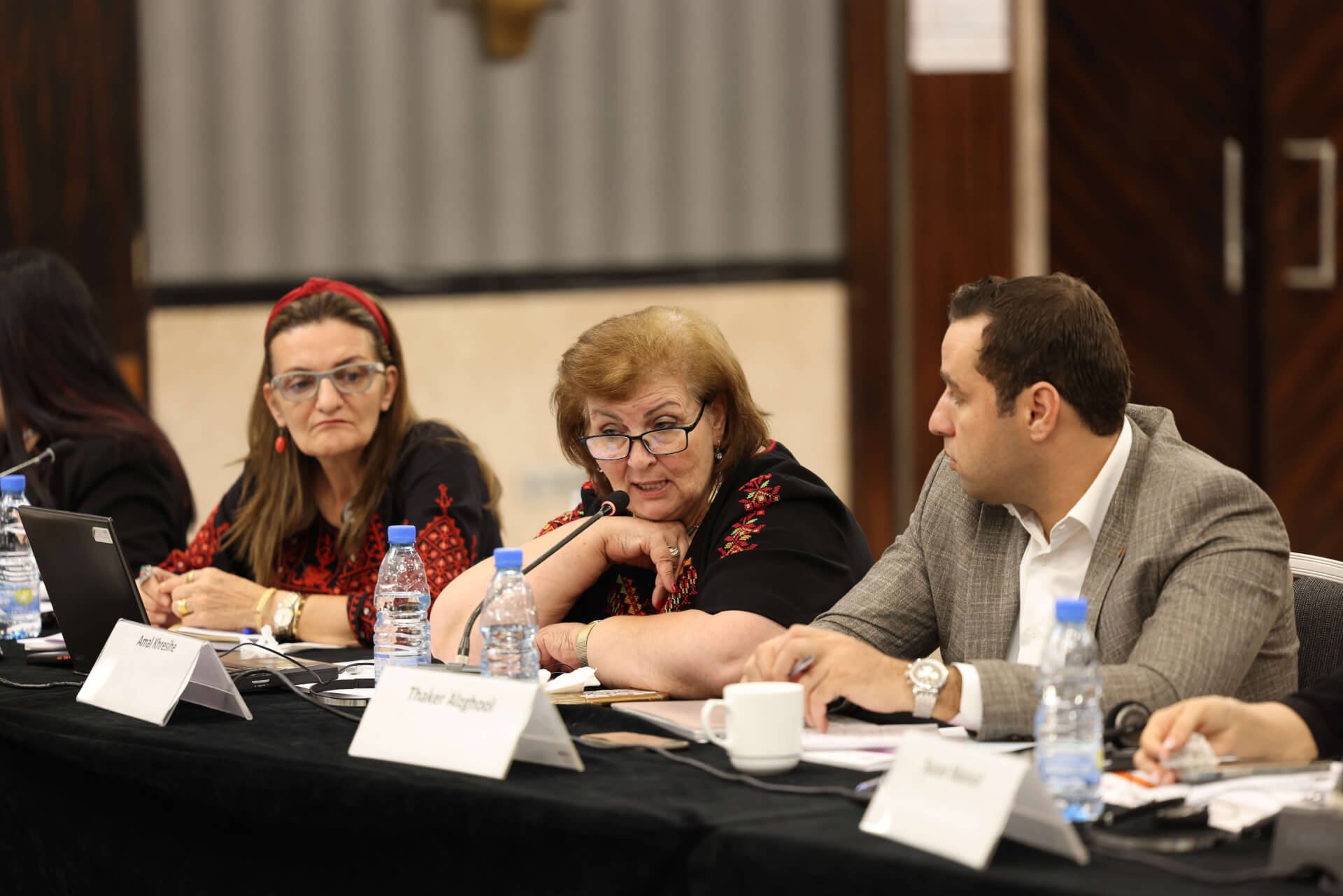 EFI - EuroMed Feminist Initiative