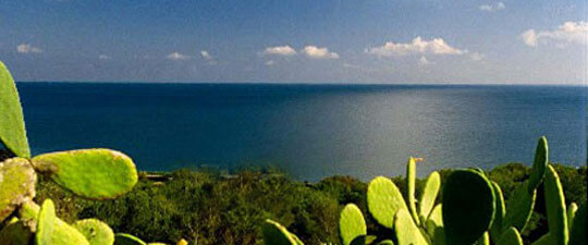 2.Boats4People/Diario di bordo | Babelmed
