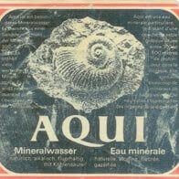 Aquilino Mancini | Babelmed