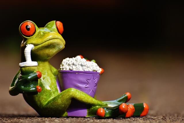 Effet pop-corn… La suite! | FFSEG - Fédération Française de Synergie Énérgétique Gundhra
