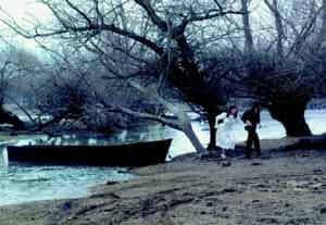 The Weeping Meadow | Babelmed