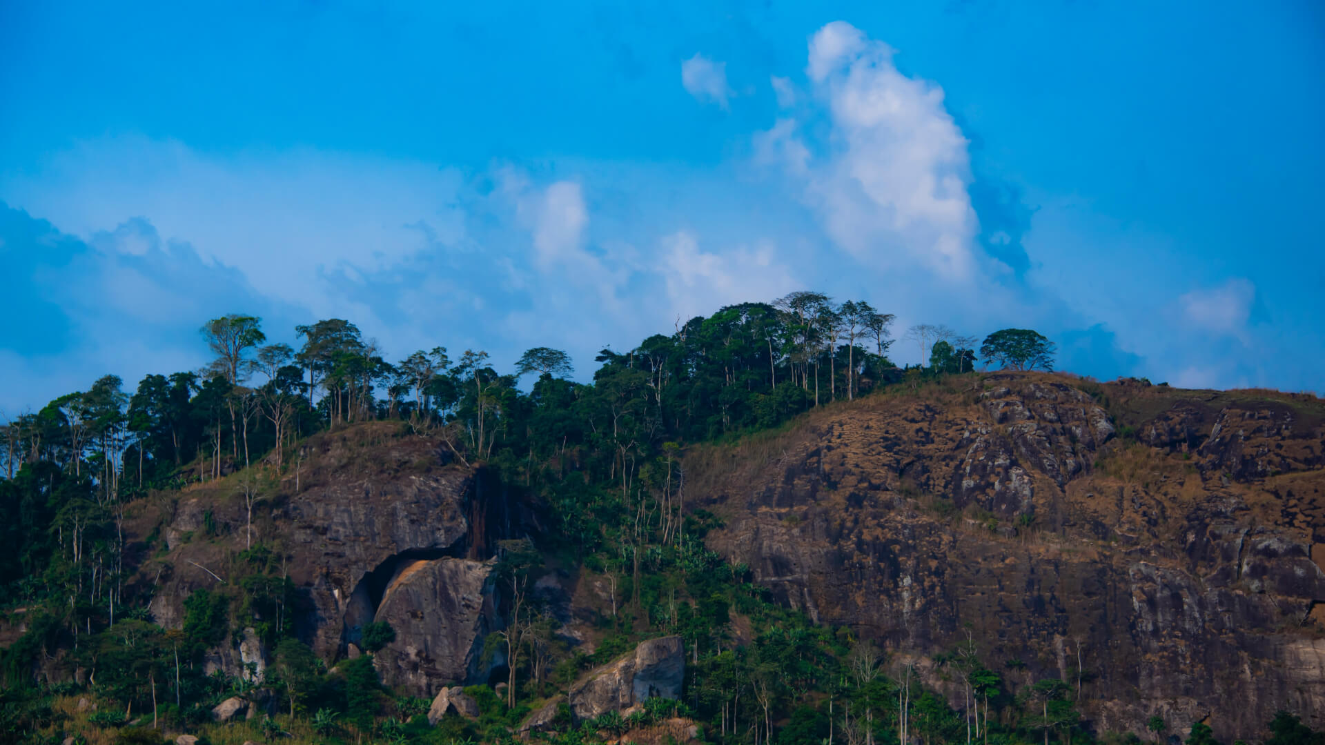 Contribution de aide cameroun, dans l'appréciation des activités menées sur l’intégrité des paysages de mangroves dans le parc national douala-edéa | Appui aux Initiatives de Développement - AIDE Cameroun
