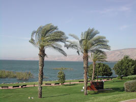 Just Peace | Babelmed