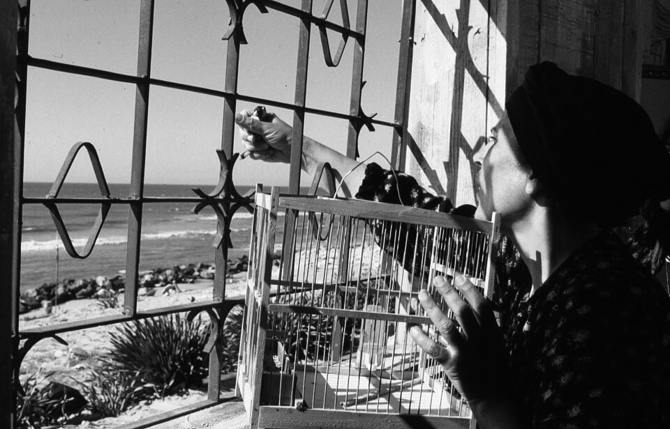 FOCUS GAZA - Le Conte Des Trois Diamants de Michel Khleifi | Festival Ciné-Palestine - FCP