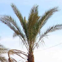 Egypte: Les réactions de BahaTahar et Makaoui Saïd | Babelmed