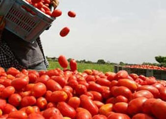 Interview. Jean-Pierre Garson | Babelmed