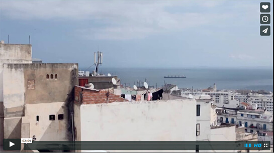 PriMed 2015 | Babelmed