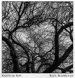 MUZZIKA ! Dicembre 2014 - Gennaio 2015 | Babelmed