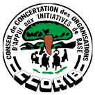 CCOAIB - Conseil de Concertation des Organisations d’Appui aux Initiatives de Base | Forus