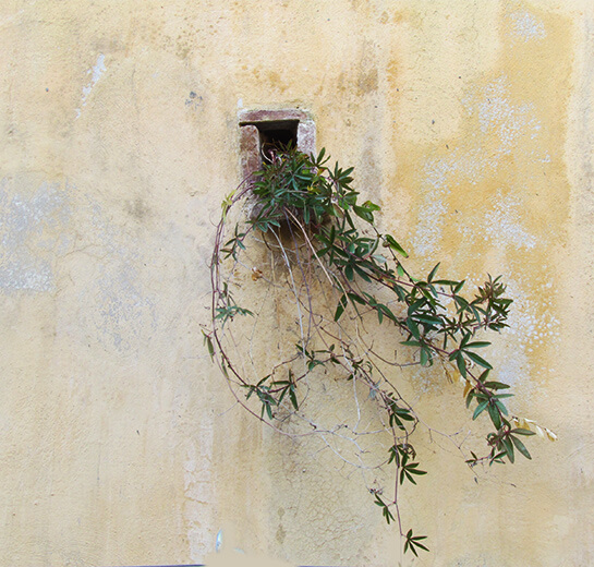 Barbacane... | Babelmed