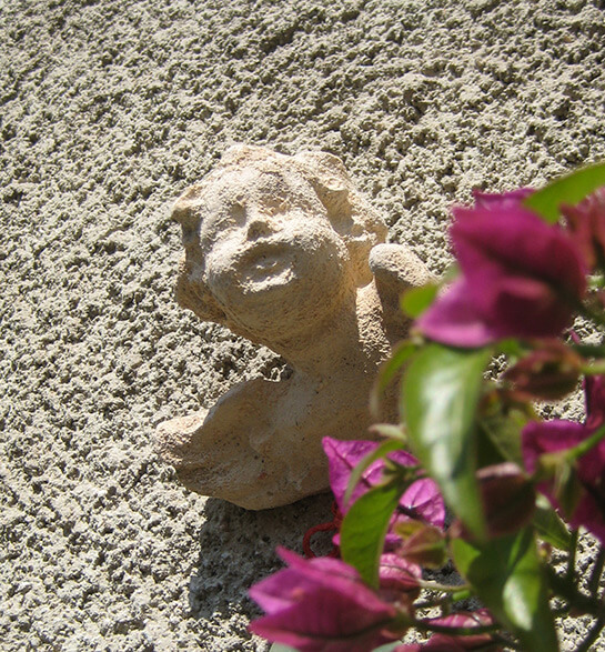 Simbiosi... | Babelmed