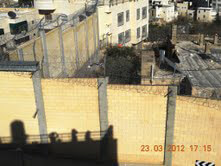 8 Days in Palestine | Babelmed