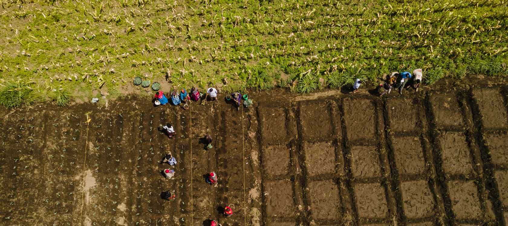Mai 2023 : l'AFD soutient 20 nouveaux projets d'OSC | Forus